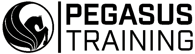 Pegasus Training